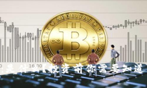 GVE虚拟币：是什么？投资前你需要知道的那些事儿