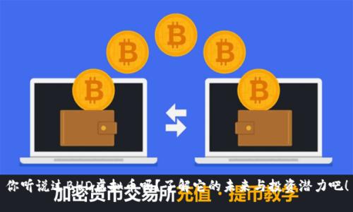 你听说过BHD虚拟币吗？了解它的未来与投资潜力吧！