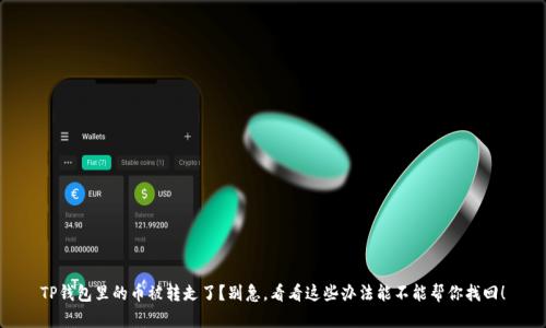 TP钱包里的币被转走了？别急，看看这些办法能不能帮你找回！
