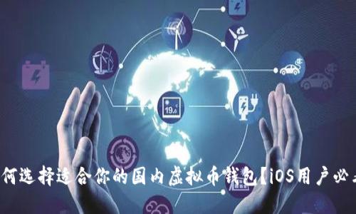 如何选择适合你的国内虚拟币钱包？iOS用户必看！