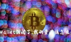 TPWallet倒闭了，我的资产该