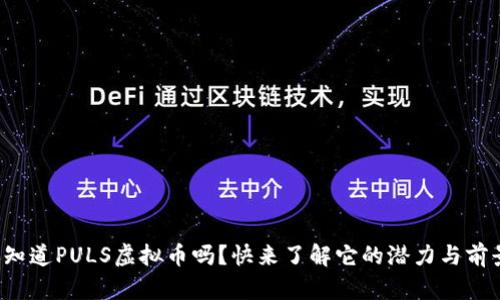 你知道PULS虚拟币吗？快来了解它的潜力与前景！