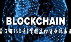你是否了解JNB币？掌握虚