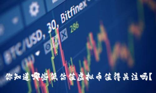 你知道哪些低估值虚拟币值得关注吗？