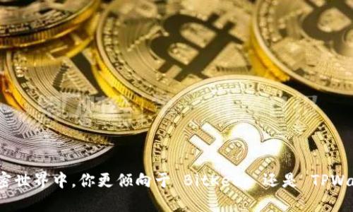 在加密世界中，你更倾向于 BitKeep 还是 TPWallet？