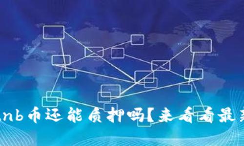 tpwalletnb币还能质押吗？来看看最新动态吧！