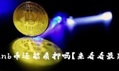 tpwalletnb币还能质押吗？来