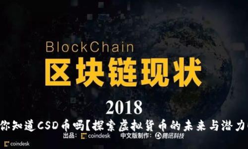 你知道CSD币吗？探索虚拟货币的未来与潜力！