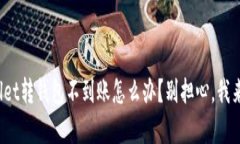 tpwallet转钱包不到账怎么办