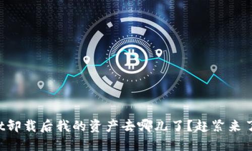 TPWallet卸载后我的资产去哪儿了？赶紧来了解一下！