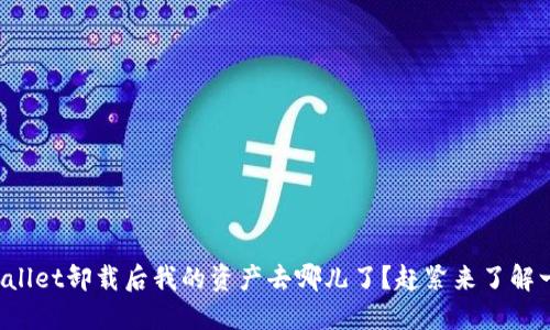 TPWallet卸载后我的资产去哪儿了？赶紧来了解一下！