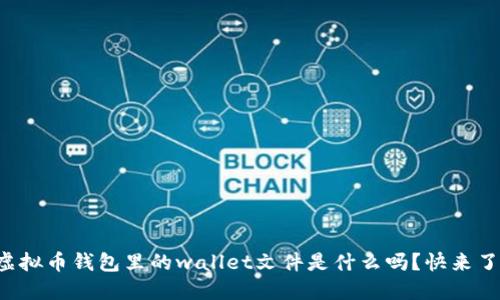 你知道虚拟币钱包里的wallet文件是什么吗？快来了解一下！
