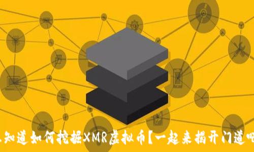   
想知道如何挖掘XMR虚拟币？一起来揭开门道吧！