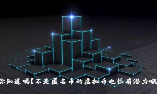 你知道吗？不是匿名币的虚拟币也很有潜力哦！