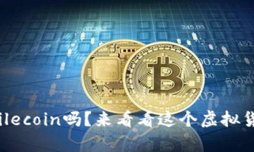 你真的了解Filecoin吗？来看看这个虚拟货币的秘密吧！