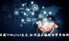 币圈TPWallet生态：如何在区