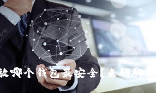 虚拟币放哪个钱包最安全？来聊聊你的选择！