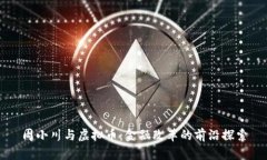 周小川与虚拟币：金融改