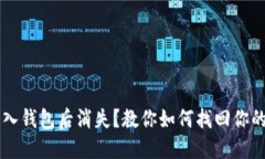 虚拟币导入钱包后消失？