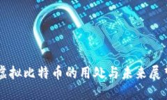 虚拟比特币的用处与未来