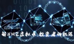 深入了解XMZ虚拟币：投资