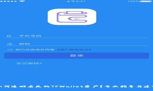 如何追回丢失的TPWallet资产？专业指导与建议