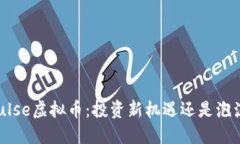 了解Pulse虚拟币：投资新机