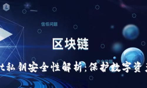 TPWallet私钥安全性解析：保护数字资产的关键