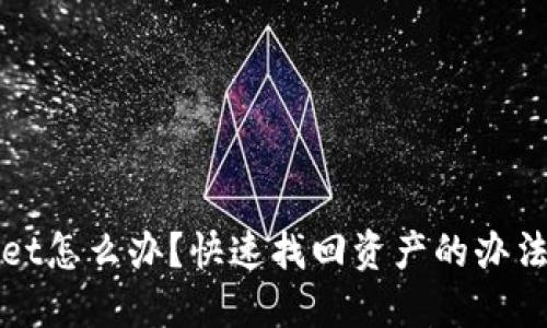 丢失TPWallet怎么办？快速找回资产的办法与预防措施