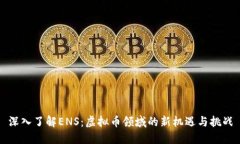 深入了解ENS：虚拟币领域的新机遇与挑战