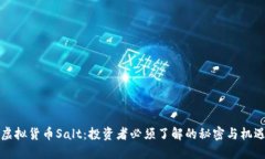 虚拟货币Salt：投资者必须了解的秘密与机遇
