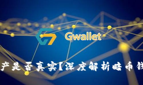 TPWallet里显示的资产是否真实？深度解析暗币钱包的安全性与透明度