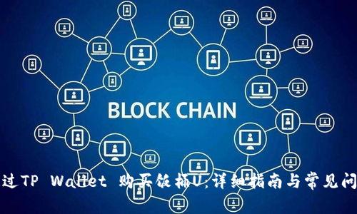 如何通过TP Wallet 购买饭桶U：详细指南与常见问题解答