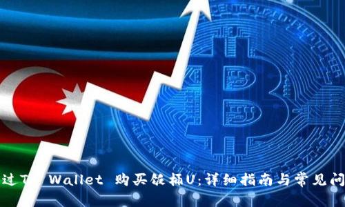 如何通过TP Wallet 购买饭桶U：详细指南与常见问题解答