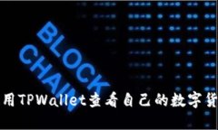 如何使用TPWallet查看自己的数字货币余额