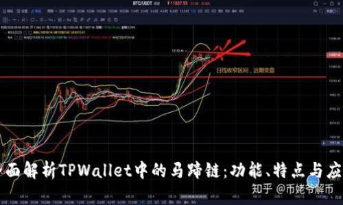 全面解析TPWallet中的马蹄链：功能、特点与应用