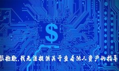 很抱歉，我无法提供关于查看他人资产的指导。