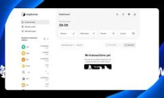 如何将OKEx的币安全地存入TPWallet