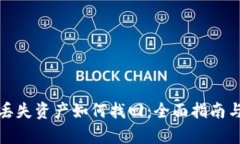 tpwallet丢失资产如何找回：全面指南与解决方案