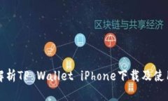全面解析TP Wallet iPhone下载及使用指南