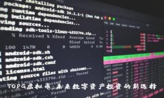 TOPG虚拟币：未来数字资产投资的新选择