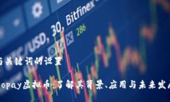 与关键词的设置Xopay虚拟币：了解其背景、应用与