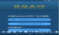 如何在国内安全下载TPWallet：全方位指南