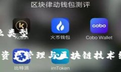 tpwallet是什么类型TPWallet：数字资产管理与区块链