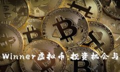 深入解析Winner虚拟币：投资机会与风险评估