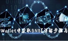 如何在TPWallet中获取BNB？详解步骤与注意事项